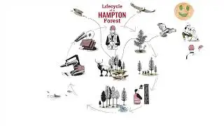 The Life of a Working Forest &ndash; Animation of Growth & Harvest