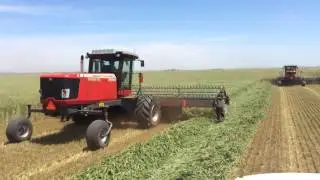 Field Launch: 5300 DynaSwath Draper Head