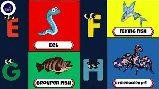 ABC Sea Animals Song | Explore Marine Life A to Z 🐟🎶 | #abcd #kids