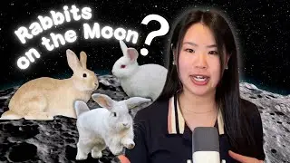 Rabbits on the Moon?  | Nihonese Channel Podcast