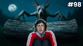 99 NOITES NA FLORESTA (NA VIDA REAL)