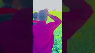New funny story video