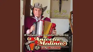 La Cumbia Rebaj&aacute;