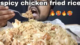 CHICKEN FRIED RICE ROADSHOP STREET FOOD 4k Life of Magi popz   #asmr   mukbang//HD