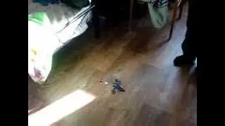 MOV00708