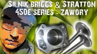 Zawory Silnik Briggs&Stratton 450E series