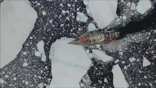 Ocean Tramp Ice