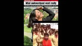 What awkward goat really want