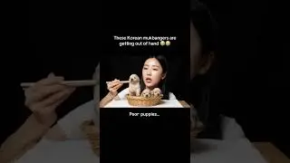 KOREAN MUKBANG 3 &ndash; She&rsquo;s really about to eat a golden retriever puppy!?😱 #ai #mukbang #viral #shorts