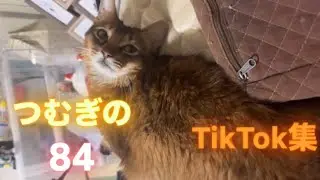 つむぎのTikTok集84