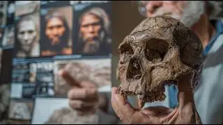 The GENETIC MUTATIONS That Separate Humans From Animals
