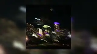 BLEAK G - ADMIT IT (SLOWED & REVERB)