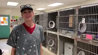 Thank you ASAP Emergency Fosters!