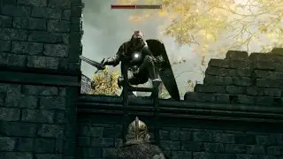The Greatest Tea Bagging Strat in Elden Ring