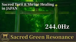 Japan Sacred Green Resonance &ndash; 244Hz Healing Balance | Sacred Torii & Shrine Healing in JAPAN