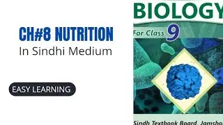 Mineral Nutrition in سندھی#Sindhimedium #Studywithease @neemhakeem