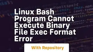 Linux bash program cannot execute binary file exec format error