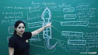 Human Reproduction |Lec.-19|Structure of a Sperm |12th NEET Biology by Ragini Tripathi| AriserTalent