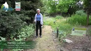 Bay-Friendly Garden Month: Butterfly-Friendly Plants
