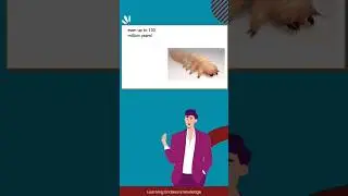 Life Beneath the Surface: Earth's Hidden Biosphere | Unbelievable Facts in 49 Seconds #science