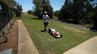 First Mow and Fixing Bare Patches in my 1 month old Seed