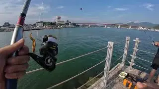 OV ZO`R BO`LDI KATTA BALIQ USHLADIM 6-OY DEGANDA...