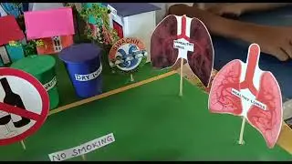 healthy lifestyle projects