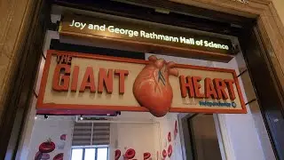 The Giant Heart Exhibit At The Franklin Institute