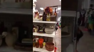 Goodwill Thrift Shopping! Vintage and Antiques - Kara