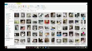 Day - 19 CNN Implementation and LSTM Overview