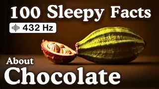 The Most Relaxing Facts About Chocolate to Fall Asleep To &mdash; No Adverts