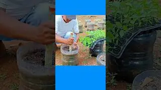 ранняя посадка #сад #посадка