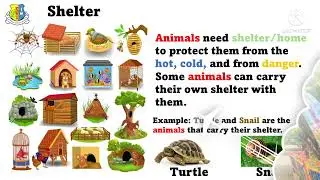 Primary-1 Science, Basic needs of Animals, Online learning.