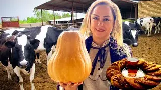 Rural life in Iran! A exciting event in the farm:Calf birth!Cooking pumpkin dessert