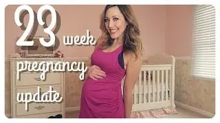 23 week pregnancy update | lots of kicks!