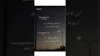 #Tahezibhafi#Mohsinnaqwi