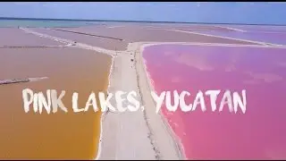 Las Coloradas Pink Lakes Yucatan, Mexico (21)