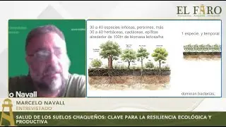 SALUD DE LOS SUELOS CHAQUEÑOS: CLAVE PARA LA RESILIENCIA ECOLÓGICA Y PRODUCTIVA
