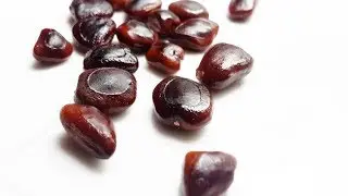 How to make Tamarind seeds powder & Benefits