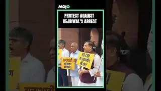 AAP MPs Protest Against Kejriwal's Arrest Outside Parliament