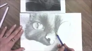 Ms. Sutton Raven Time Lapse Drawing