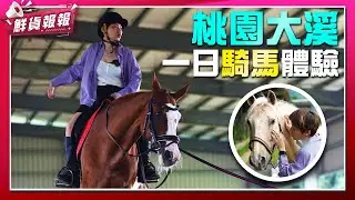 一日馬術體驗！ 「零距離接觸巨萌馬兒、瘦身矯正體態」 馬術竟然超有趣 | 鮮貨報報 | 壹起FUN