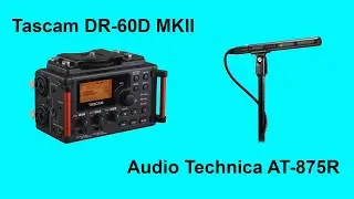 Tascam DR-60 MKII & Audio Technica AT875R: (2021)