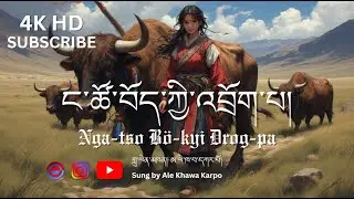Tibetan Song 2026 / Nga-tso Bö-gi drog-pa / ང་ཚོ་བོད་ཀྱི་འབྲོག་པ། Viral New Song 2026 #tibetansong