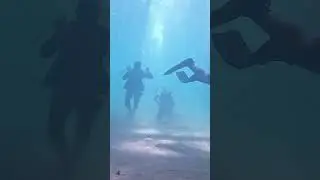 #learntoscuba #scubalessons #scubaclass #discoverscuba #PADITraining #scubabeginners #floridascuba