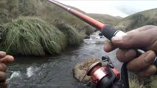 Pesca de truchas en riachuelos