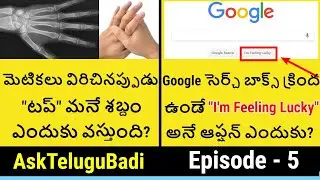 AskTeluguBadi Episode-5 | Telugu Badi Latest Episode | Most Intelligent Questions and Answers |