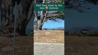 Shoreline Clean up 2025 (Berkeley, CA)