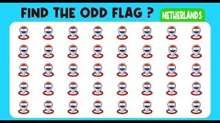 Odd Flag Hunt | Can You Spot the Unusual