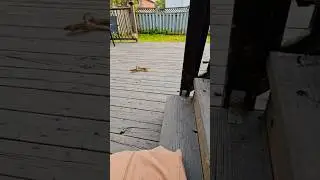 Однажды мы с тобой станем лучшими друзьями, хорошо? 👍